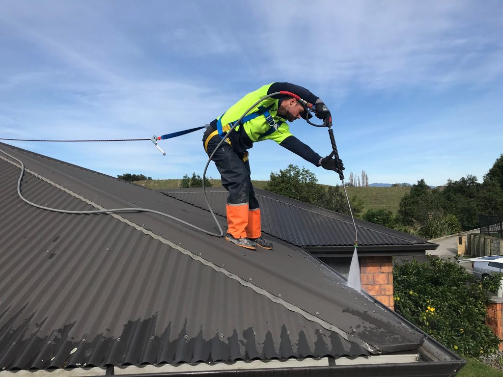 house cleaning specialist cleaning a roof