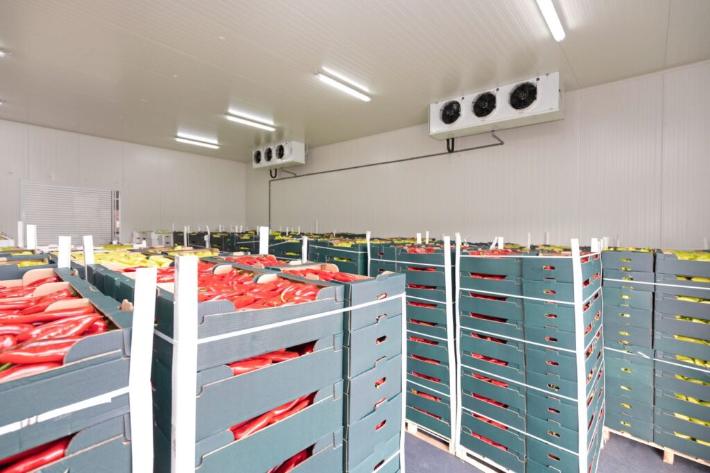 commercial refrigeration filled with fresh produce