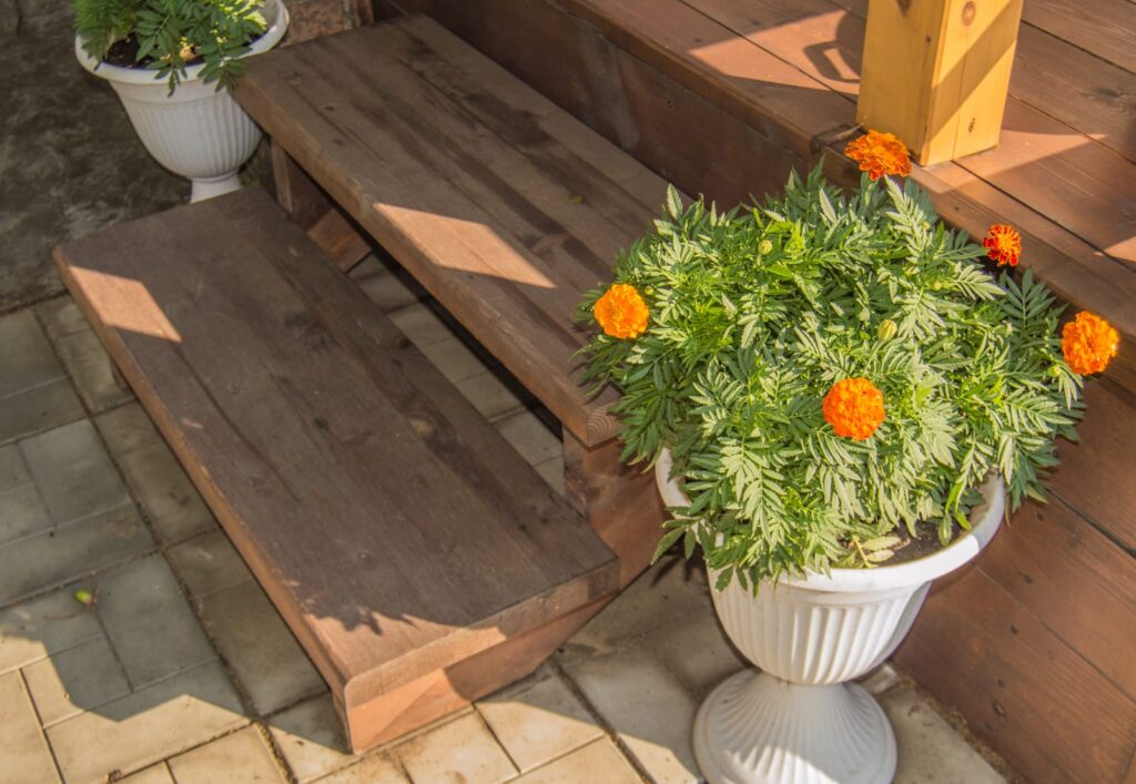 wooden steps in garden