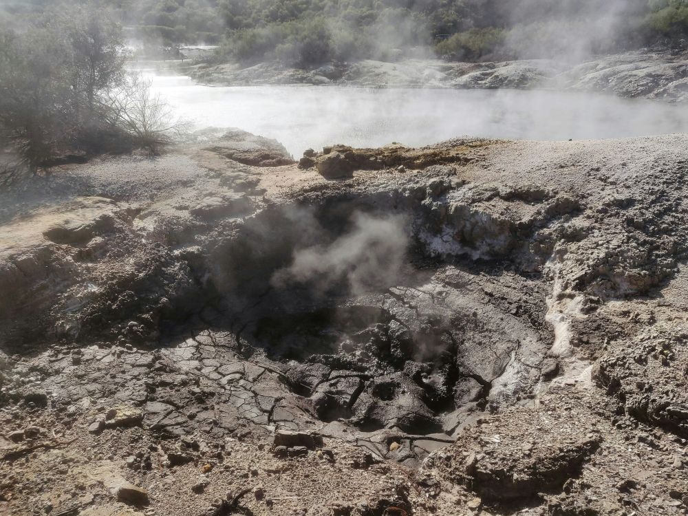 rotorua's volcanic terrain