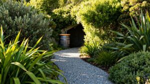 New Zealand garden with native plants and water-wise features.